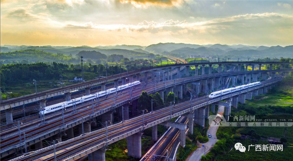 富硒水果的社会价值观(水果核心价值观)-硒宝网