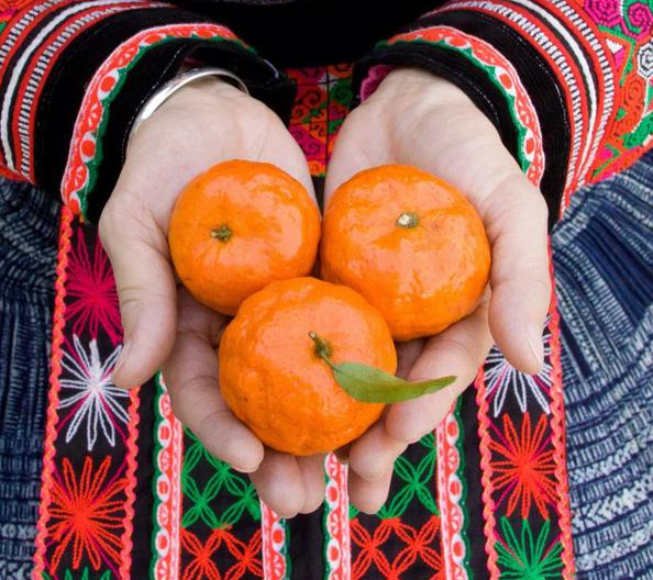 什么水果有富硒最多的（富硒类蔬菜水果）-硒宝网