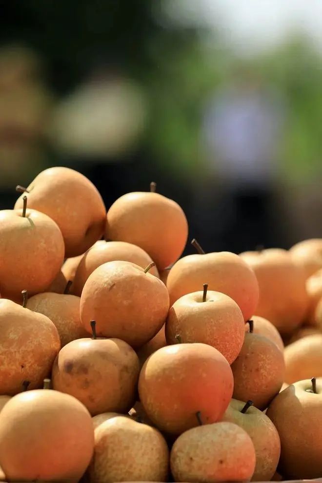 什么水果有富硒最多的（富硒类蔬菜水果）-硒宝网