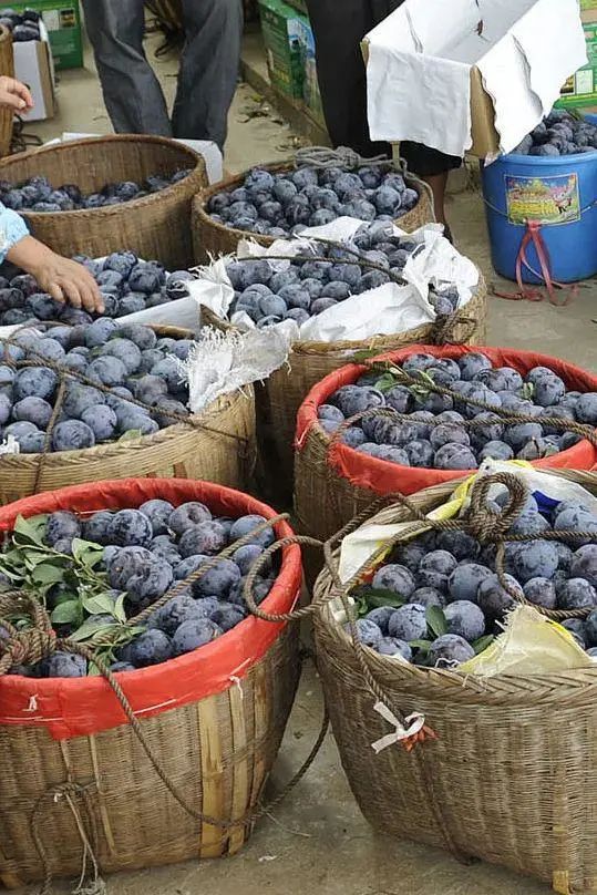 什么水果有富硒最多的（富硒类蔬菜水果）-硒宝网