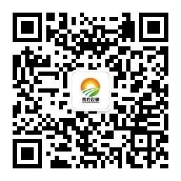 什么水果有富硒最多的（富硒类蔬菜水果）-硒宝网