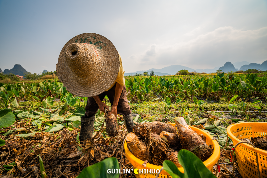 富硒果是什么样的水果(富硒水果百科)-硒宝网