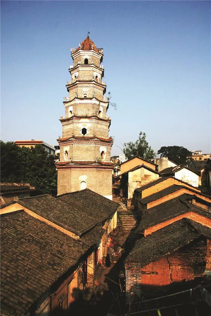 富硒果是什么样的水果(富硒水果百科)-硒宝网