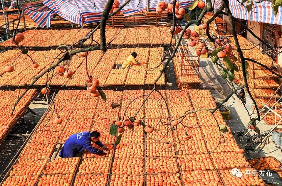 富硒果是什么样的水果(富硒水果百科)-硒宝网