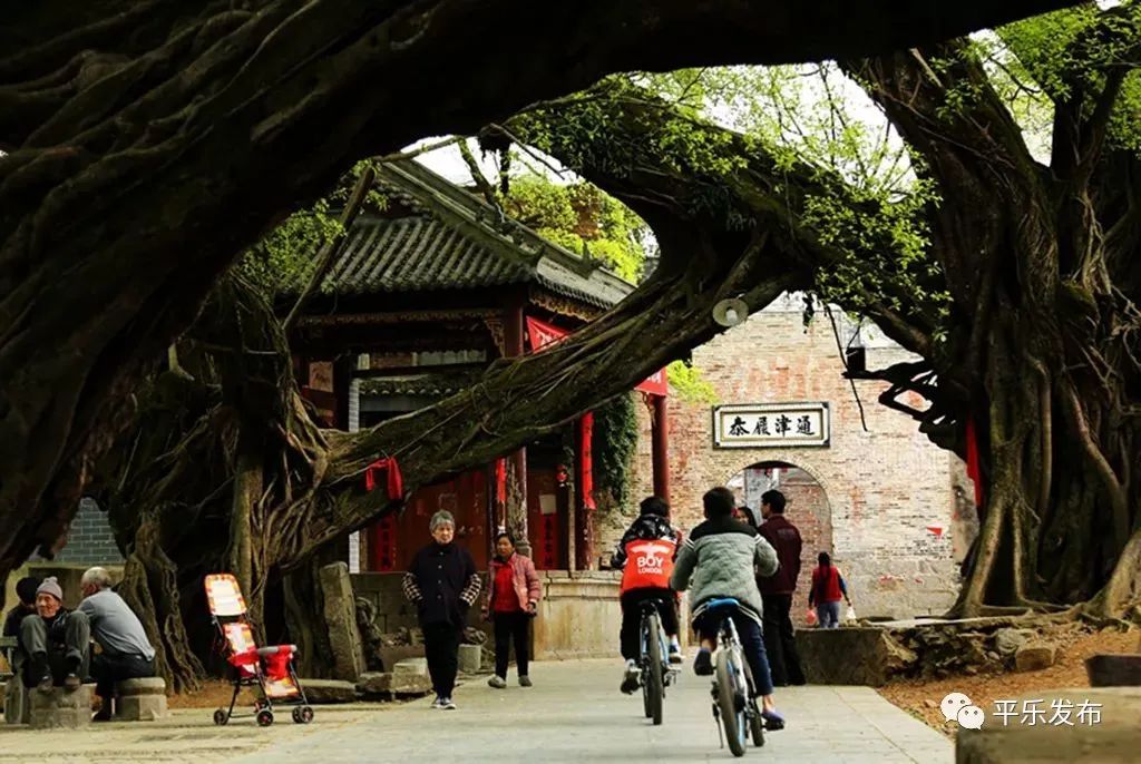 富硒果是什么样的水果(富硒水果百科)-硒宝网