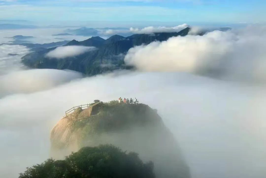 富硒果是什么样的水果(富硒水果百科)-硒宝网