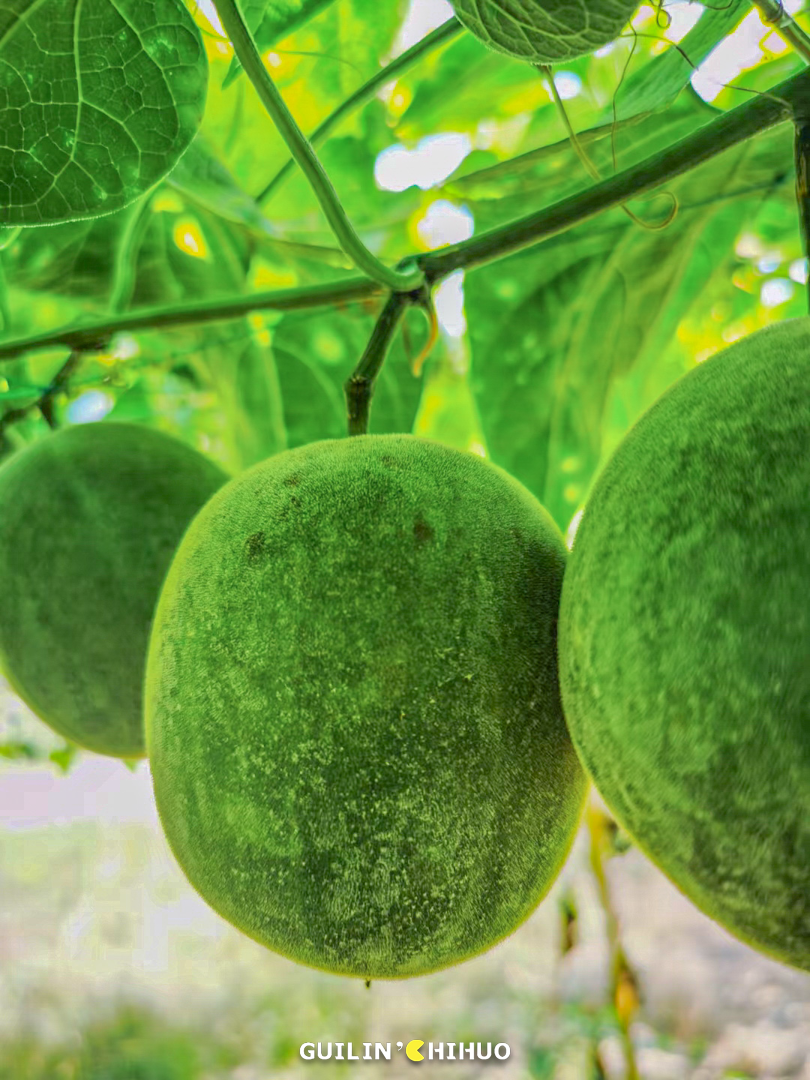 富硒果是什么样的水果(富硒水果百科)-硒宝网