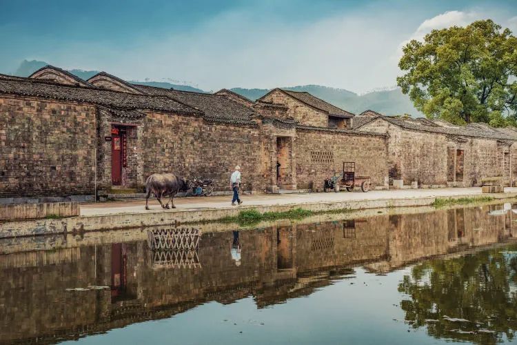 富硒果是什么样的水果(富硒水果百科)-硒宝网