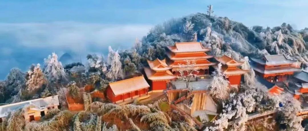 富硒果是什么样的水果(富硒水果百科)-硒宝网