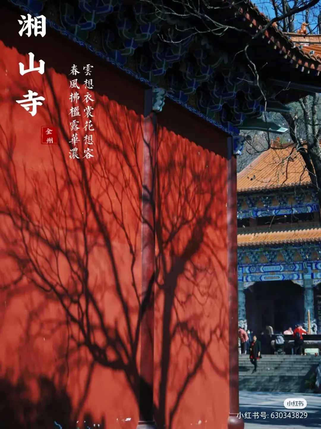 富硒果是什么样的水果(富硒水果百科)-硒宝网