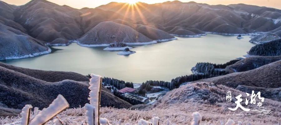 富硒果是什么样的水果(富硒水果百科)-硒宝网