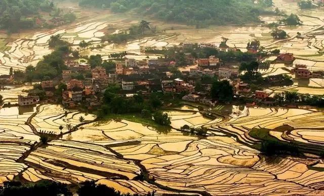 富硒果是什么样的水果(富硒水果百科)-硒宝网