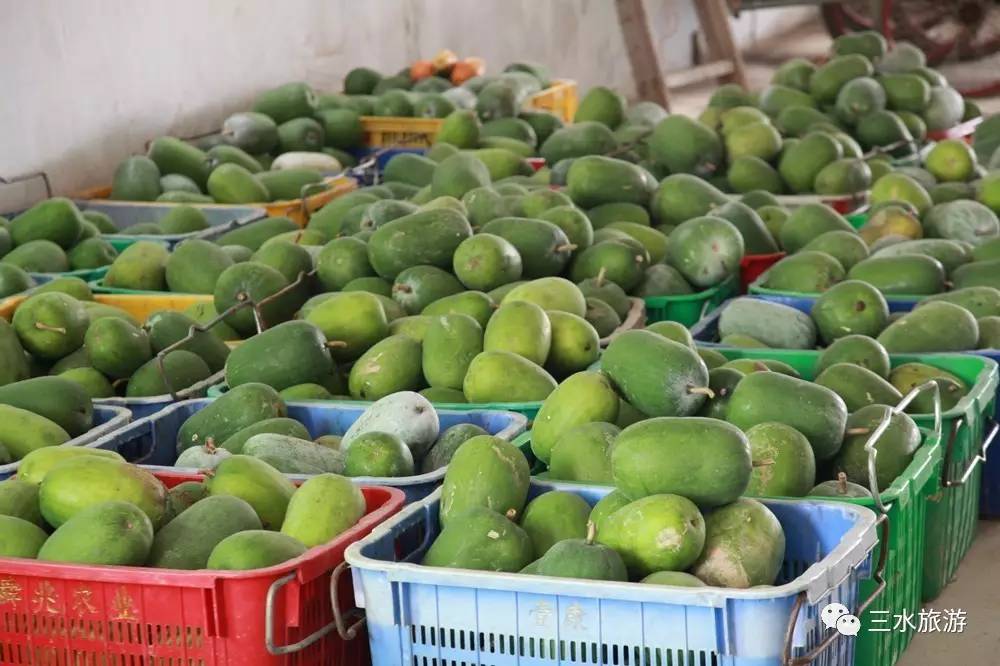 富硒果到底是什么水果（富硒水果标准）-硒宝网