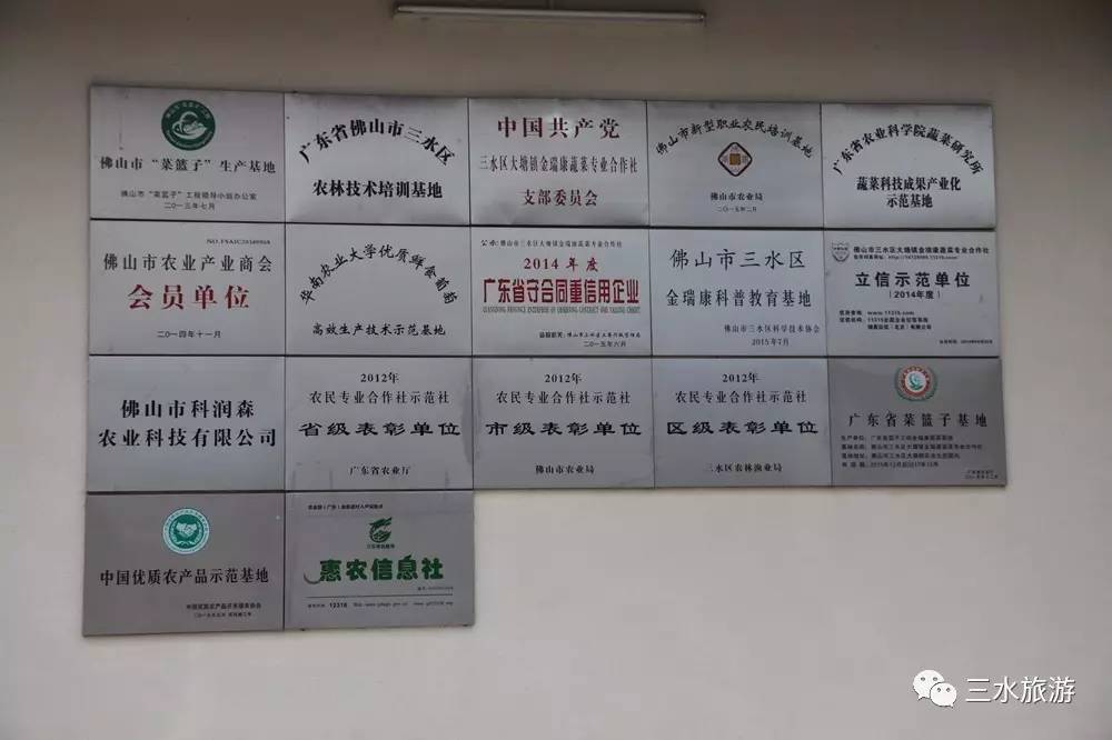 富硒果到底是什么水果（富硒水果标准）-硒宝网