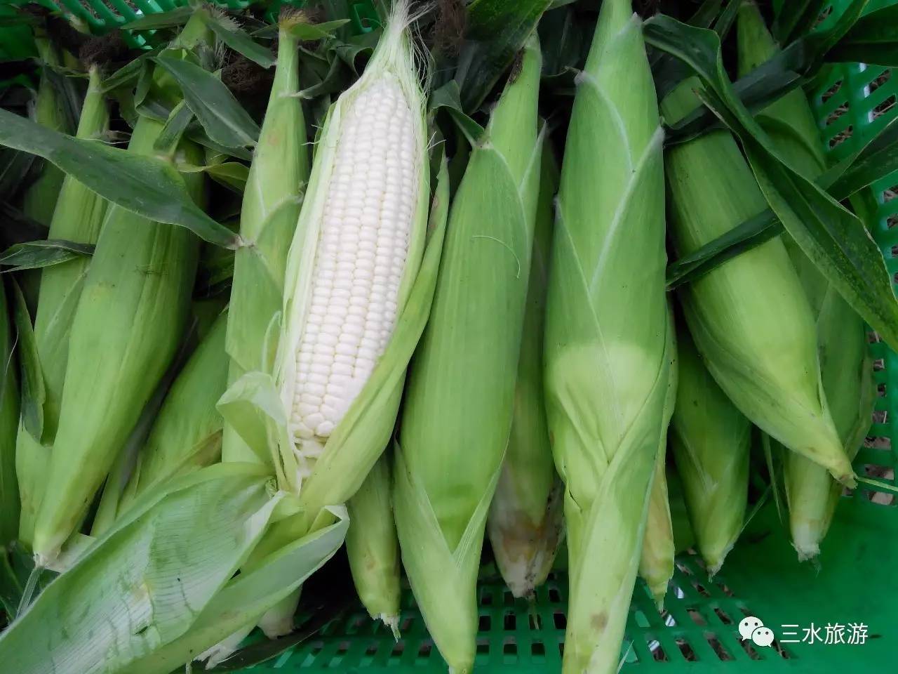 富硒果到底是什么水果（富硒水果标准）-硒宝网