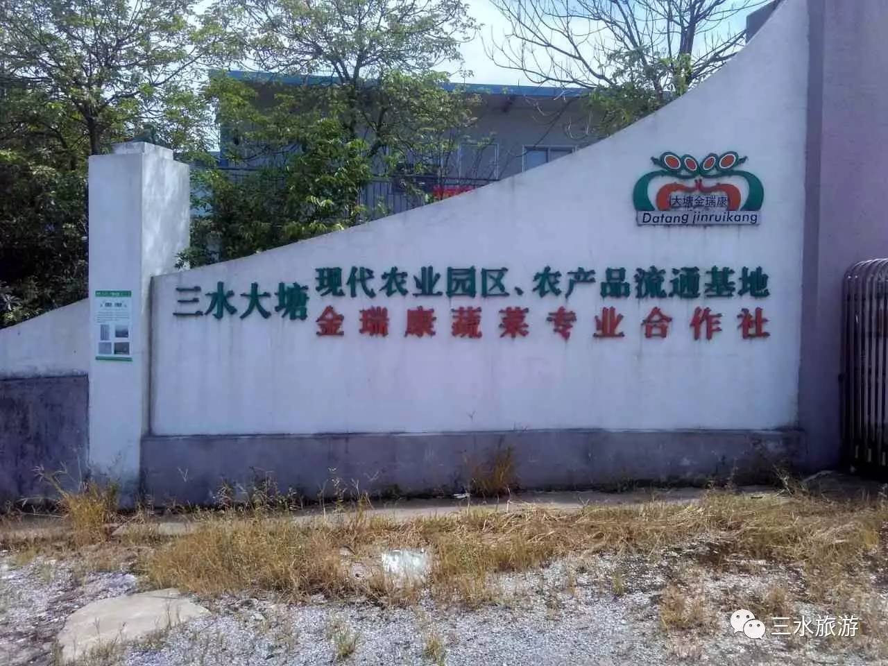 富硒果到底是什么水果（富硒水果标准）-硒宝网