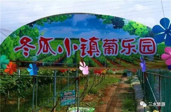 富硒果到底是什么水果（富硒水果标准）-硒宝网