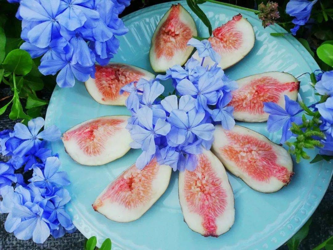 富硒水果无花果的功效(无花果富硒含量多少)-硒宝网