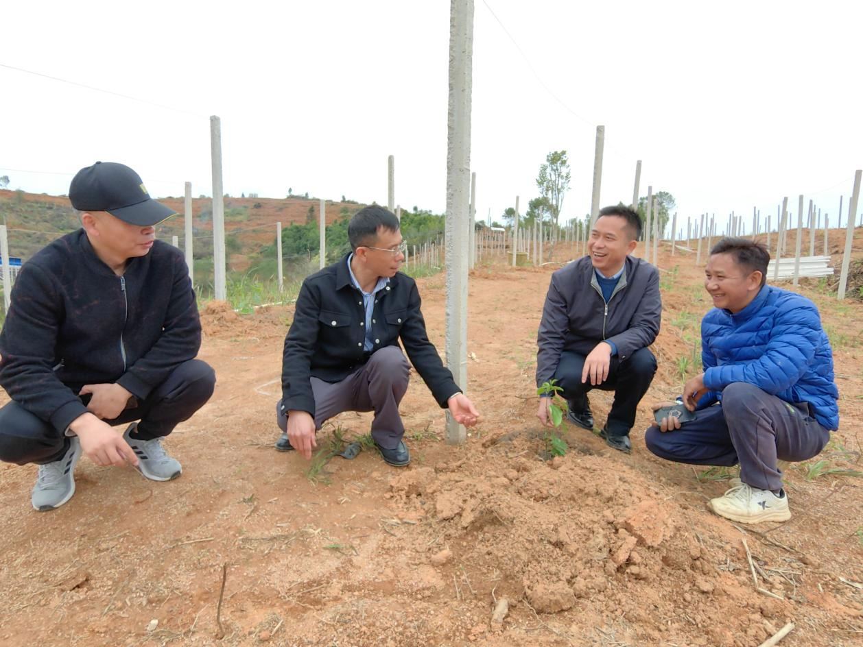富硒果是一种什么水果(富硒对水果的作用如何)-硒宝网