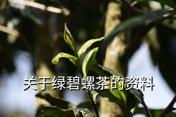 富硒藤茶碎茶是什么茶(富硒藤茶多少钱一斤)-硒宝网