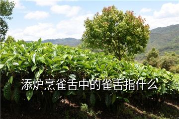 富硒藤茶碎茶是什么茶（富硒藤条茶）-硒宝网