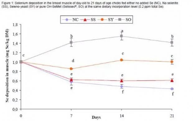 纳米硒产品说明怎么写(纳米硒的研究进展)-硒宝网