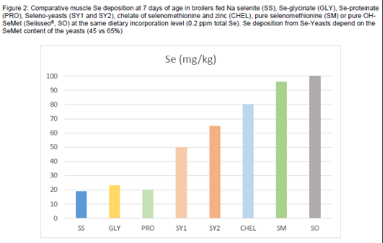 纳米硒产品说明怎么写(纳米硒的研究进展)-硒宝网