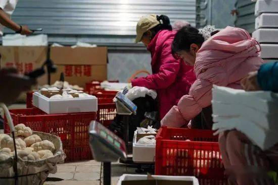 猴头菇硒是哪里的产品（富硒猴头菇营养粉价格）-硒宝网