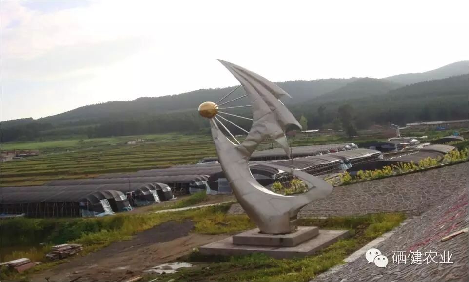 硒农产品市场分析报告(农产品硒含量标准)-硒宝网