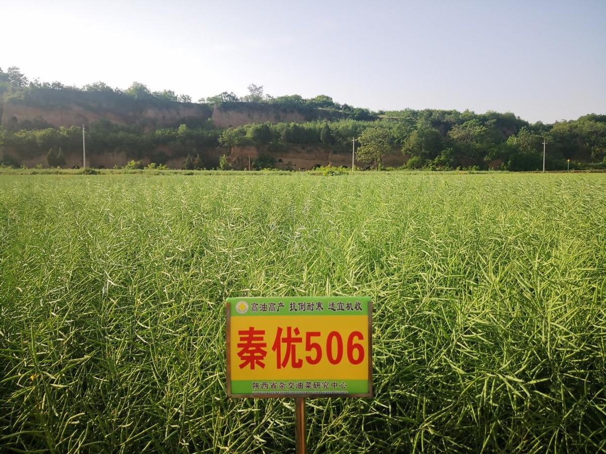 锌硒优质农产品有哪些（锌硒是什么意思）-硒宝网