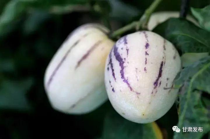 锌硒优质农产品有哪些（锌硒品牌）-硒宝网