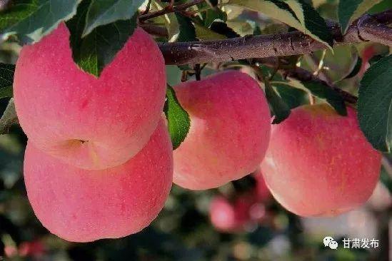 锌硒优质农产品有哪些（锌硒品牌）-硒宝网