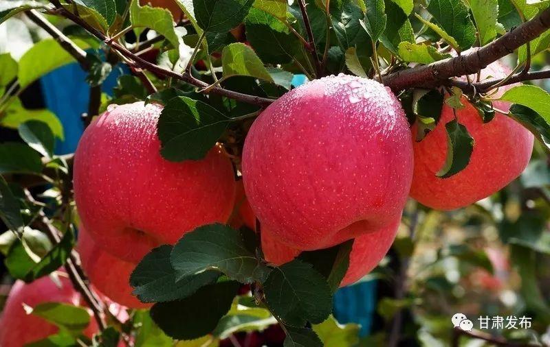 锌硒优质农产品有哪些（锌硒品牌）-硒宝网