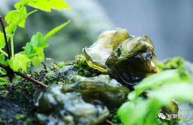 锌硒优质农产品有哪些（锌硒品牌）-硒宝网