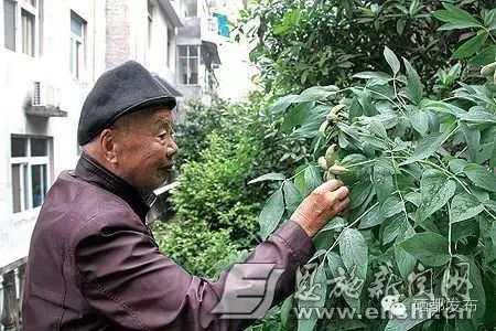 湖北恩施盛硒源硒产品（恩施盛硒科技股份有限公司）-硒宝网