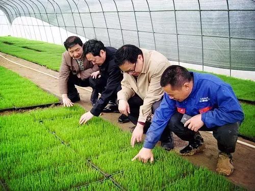 硒化硒产品有什么作用（硒化是什么意思）-硒宝网