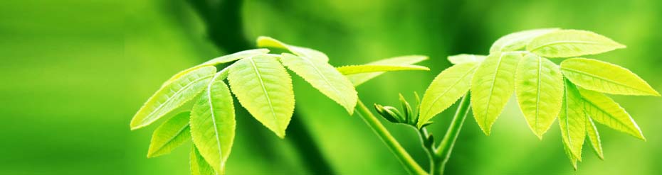 世界硒都硒产品交易会(硒交易中心)-硒宝网