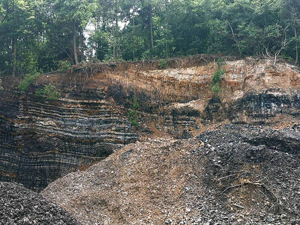 湖北恩施圣硒源硒产品（恩施硒圣植物真能抗癌）-硒宝网