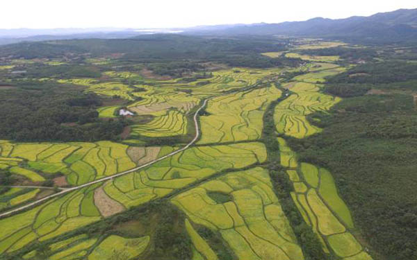 湖北恩施圣硒源硒产品（恩施硒圣植物真能抗癌）-硒宝网