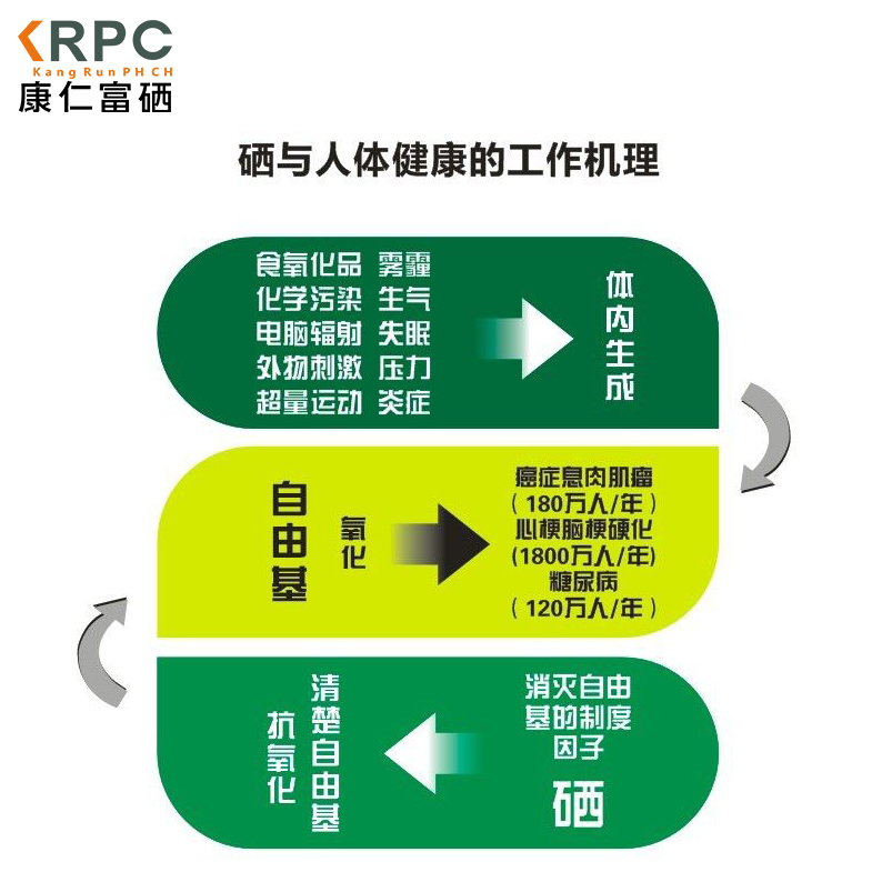 中志集团硒产品硒多宝(中志硒餐)-硒宝网