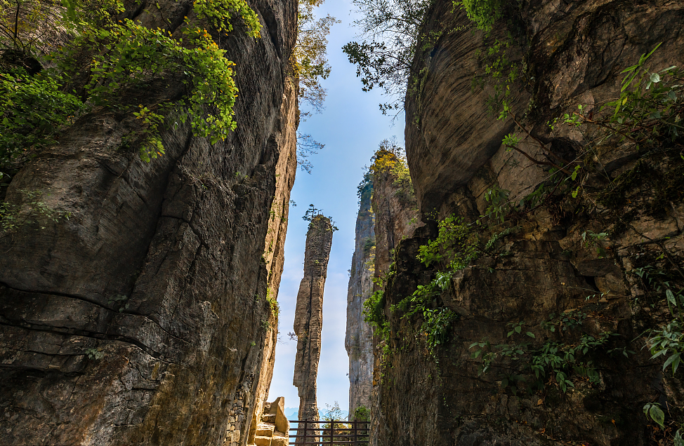 湖北恩施硒产品是真的（湖北恩施的硒产品）-硒宝网