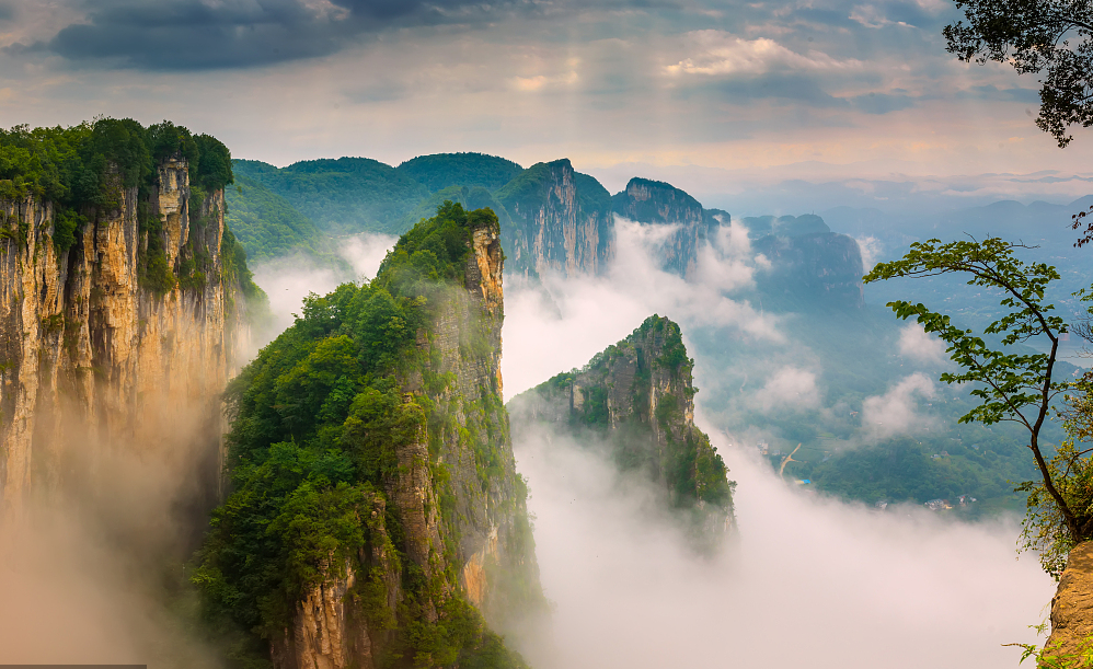 湖北恩施硒产品是真的（湖北恩施的硒产品）-硒宝网