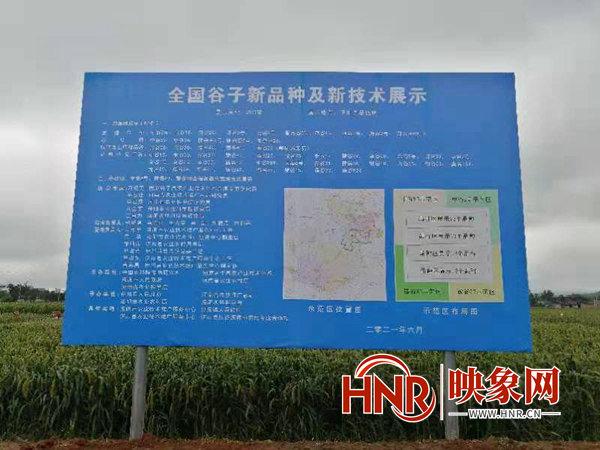 把硒资源转化成硒产品（全国硒资源变硒产业）-硒宝网