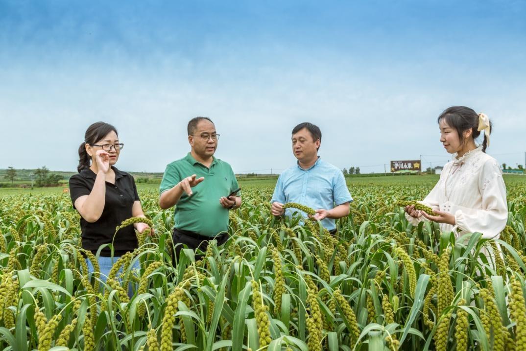 把硒资源转化成硒产品（硒转化资源成产品的原因）-硒宝网