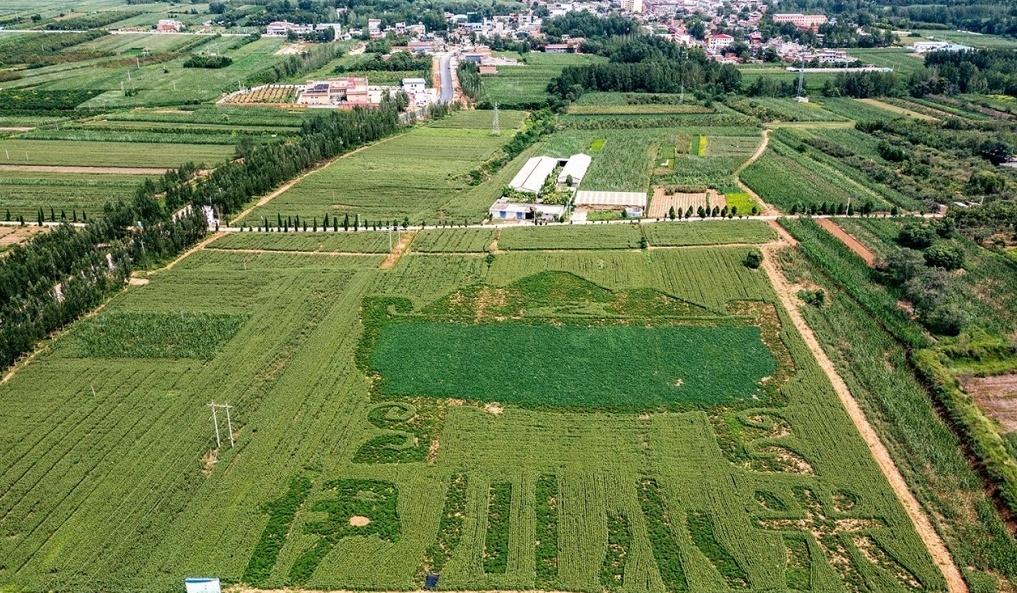 把硒资源转化成硒产品（硒转化资源成产品的原因）-硒宝网