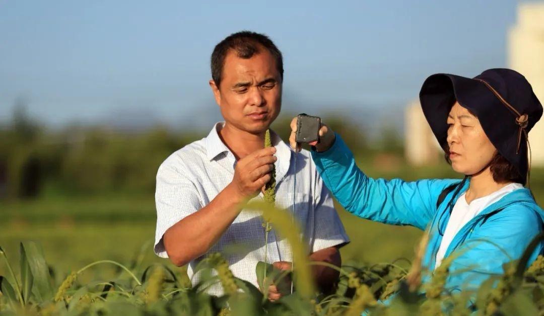 把硒资源转化成硒产品（硒转化资源成产品的原因）-硒宝网