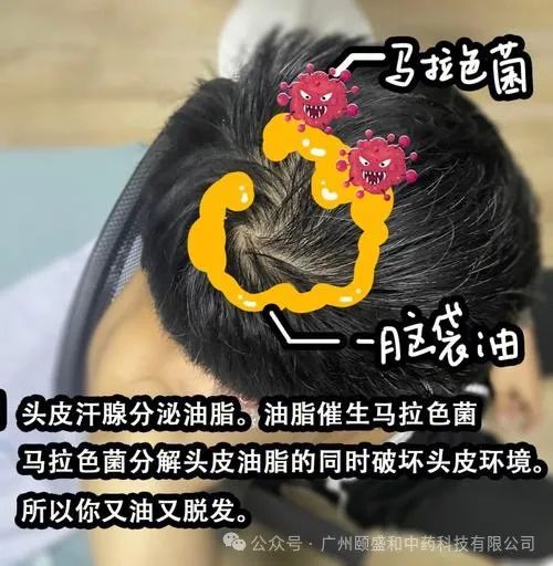 硒产品测评推荐好用吗(硒推荐量)-硒宝网