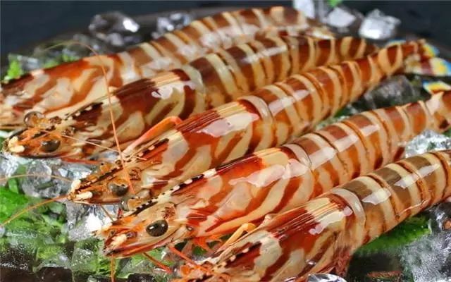 哪种海鲜产品含硒最高(海鲜种含高产品硒元素吗)-硒宝网