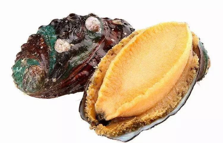 哪种海鲜产品含硒最高(海鲜种含高产品硒元素吗)-硒宝网