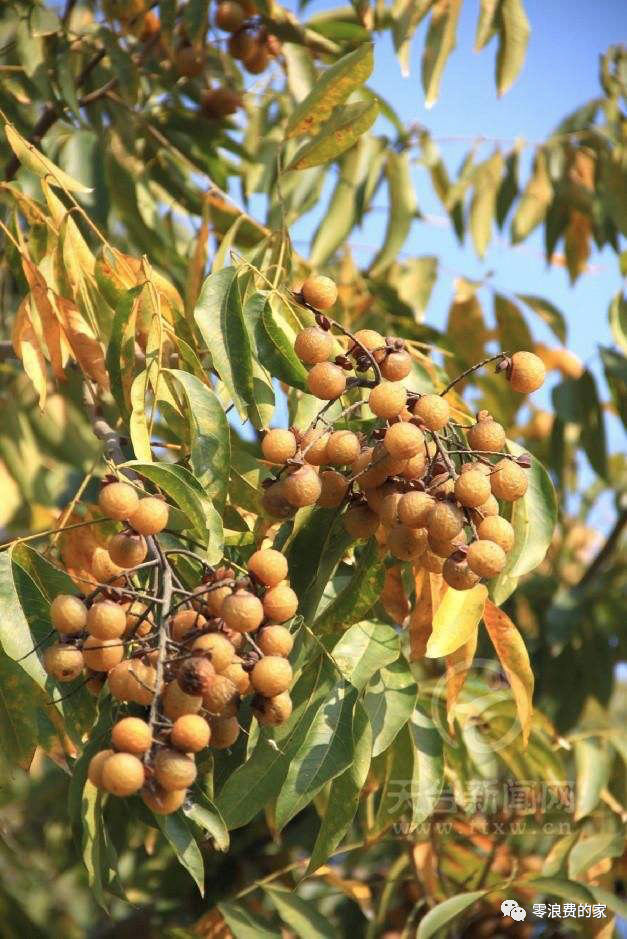 硒产品测评推荐好用吗(硒的品牌选择)-硒宝网
